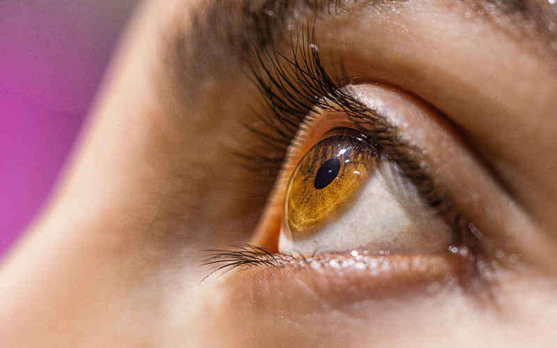 Consulta de Vítreo e Retina